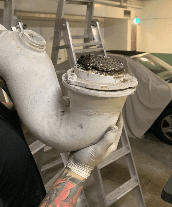 tree root infestation plumber sydney image-min
